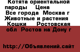 Котята ориентальной пароды  › Цена ­ 12 000 - Все города, Москва г. Животные и растения » Кошки   . Ростовская обл.,Ростов-на-Дону г.